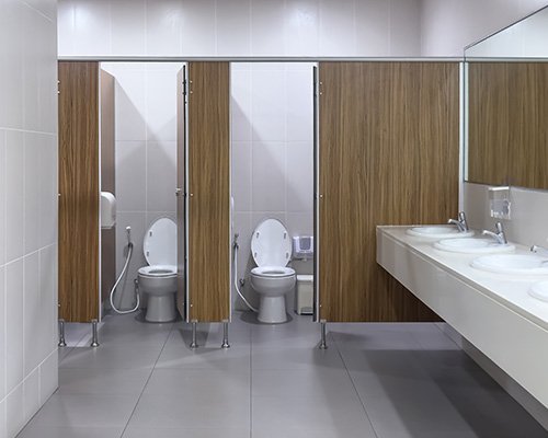 Toilet Cleaning Image