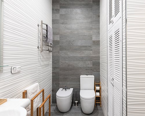 Toilet Cleaning Image