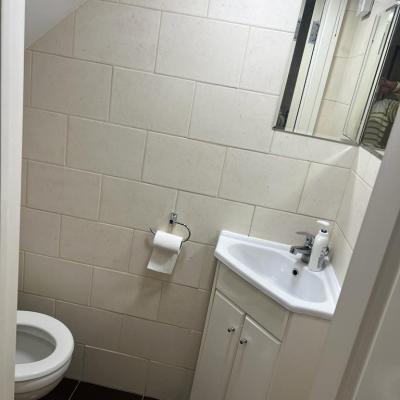 Cleaned Toilet